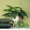 Kép 1/3 - Selyemvirág - művirág Strelitzia S green Strelitzia S zöld papagályvirág Holland SDDST53