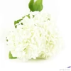 Kép 2/3 - Selyemvirág művirág hortenzia Viburnum créme 61cm Holland SDDST53
