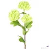 Kép 1/3 - Selyemvirág művirág hortenzia labdarózsa Viburnum green bangita 61cm Holland SDDST53