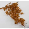 Kép 3/4 - Selyemvirág - művirág búza Wheat branch XL brownb 137cm Holland SDDST53