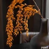 Kép 1/4 - Selyemvirág - művirág búza Wheat branch XL brownb 137cm Holland SDDST53