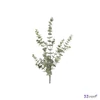 Selyemvirág művirág 95cm Eucalyptus L green - zöld élehű Holland DST53