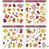 Kép 2/2 - Ablakmatrica őszi dekor levél-dió-makk-bogyó-gesztenye mintás 30x30cm Őszi mintás ablak dekoráció!