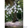 Party dekor lampion gömb fehér 30cm