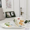 Reggeliző szett porcelán Jumbo csésze és alj COLORS OF NATURE Díszdobozban