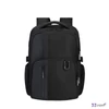 Samsonite Biz2Go 15