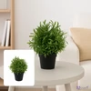 Selyemvirág művirág 25cm buxus cseréppben zöld15x15x25cm DST5 élthű