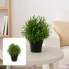 Kép 1/2 - Selyemvirág - művirág 25cm buxus cseréppben zöld15x15x25cm SDDST5 élthű