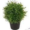 Kép 2/2 - Selyemvirág - művirág 25cm buxus cseréppben zöld15x15x25cm SDDST5 élthű
