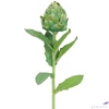 Kép 2/2 - Selyemvirág - művirág 58cm Cynara zöld 10x10x58cm articsóka SDDST5 élthű