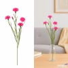 Kép 1/2 - Selyemvirág - művirág 70cm Centaurea rózsaszín12x12x70cm SDDST5 búzavirág élethű