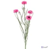 Selyemvirág művirág 70cm Centaurea rózsaszín12x12x70cm DST5 búzavirág élethű
