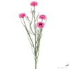 Kép 2/2 - Selyemvirág - művirág 70cm Centaurea rózsaszín12x12x70cm SDDST5 búzavirág élethű
