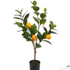 Kép 3/3 - Selyemvirág - művirág 70cm citrus citrom citromsárga 33x28x70cm SDDST5 élthű
