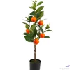 Kép 3/3 - Selyemvirág - művirág fa 70cm citrus naracsfa naracssárga 33x28x70cm SDDST5 élethű exkluzív termék