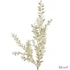 Selyemvirág művirág pezsgő Ruscus metallic champagne DST53 prémium kategóriás virág