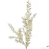 Kép 2/2 - Selyemvirág - művirág pezsgő Ruscus metallic champagne SDDST53 prémium kategóriás virág