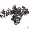 Kép 2/3 - Selyemvirág - művirág Prunus purple SDDST53