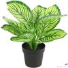Kép 1/2 - Selyemvirág - művirág zebrale Calathea green 28cm Holland SDDST53