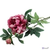 Selyemvirág - művirág 68cm paeonia pink ciklámen 15x15x68cm SDDST5 pünközsdirózsa bimbókkal élethű