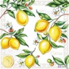 Szalvéta 33x33cm Citrus - citrom 20db-os