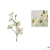 Kép 2/2 - Selyemvirág - művirág magnólia Dogwood spray Fiona S white fehér somfa 48cm Holland SDDST53