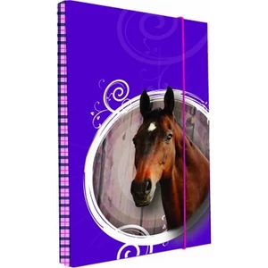 FüzetboxA4 KPP HORSE / LOVAS 1-397