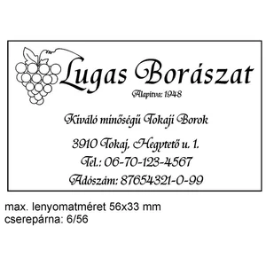 Bélyegző Trodat 5206 fém szövegbélyegző 56 x 33 mm