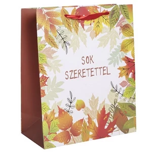Ajándéktasak 26x32cm ,faleveles Sok szeretettel feliratt 370288