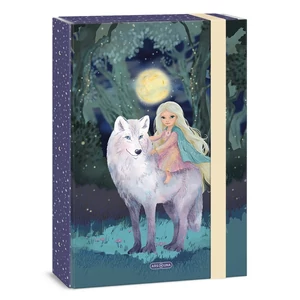 Ars Una A4 Füzetbox 26' Northern Lights 50855278 prémium minőség