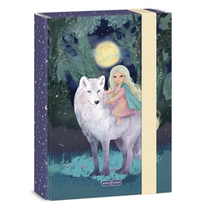 Ars Una A5 Füzetbox 26' Northern Lights 50865277 prémium minőség