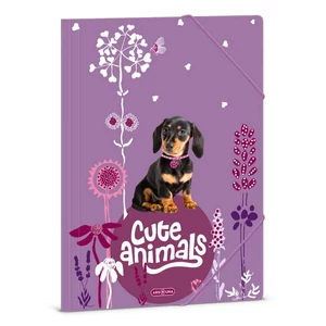 Ars Una Gumis mappa A4 24' Cute Animals Puppy Tacskó 50213696 350gr vastag kartonból