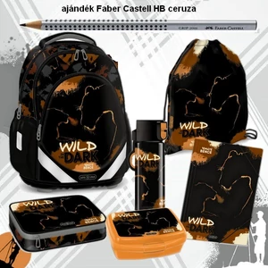 Iskolatáska szett Ars Una 26 Wild in the Dark iskolatáska,tornazsák uzsidoboz, gumis mappa,kulacs,tolltartó