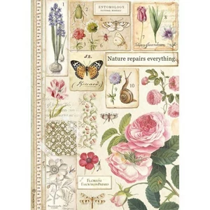 Decoupage rizspapír A4 Botanika DFSA4623