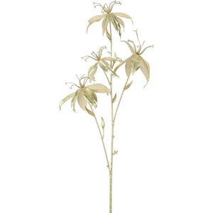 Dekor ág Gloriosa S pezsgő/arany 10x27x80cm DST25
