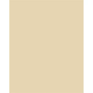 Dekorkarton 2 oldalas 50x70cm 220 g 10lap FOLIA bézslap FOLIA bézs