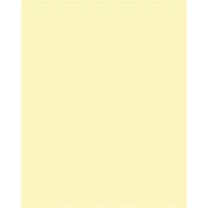 Dekorkarton 2 oldalas 50x70cm 220 g 10lap FOLIA szalmasárgalap FOLIA s