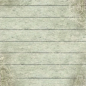 Decoupage rizspapír A4 NyírFa mintás Tamperia DFT298