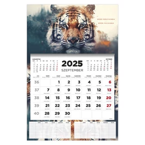 Diák Falinaptár 25 D076 Tiger 16 Havi TopTimer naptár kollekció 26D7620-000