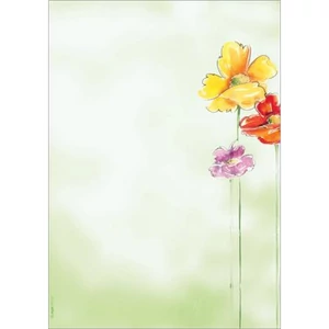 Előnyomott papír A4 90g, SIGEL "Spring Flowers