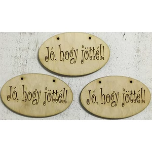 Fa felirat tábla Jó, hogy jöttél ! 9x5.4cm 3db/csomag