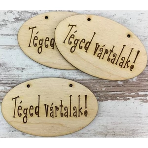 Fa felirat tábla Téged vártalak! ovál 5, 5x9cm 3db/cs