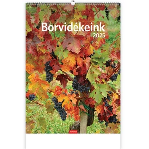 Falinaptár 2025 T093 Borvidékeink Toptimer 2025 kollekció!