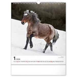 Falinaptár 2026 Horses 6087-HO spirálos 30×34cm Realsystem 2026 kollekció!