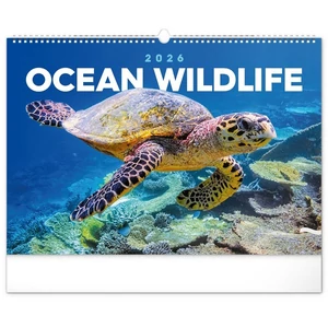 Falinaptár 2026 Ocean, 48×33 cm Realsystem 2026 kollekció!