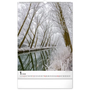 Falinaptár 2026 Trees spirálos 33×46cm Realsystem 2026 kollekció!