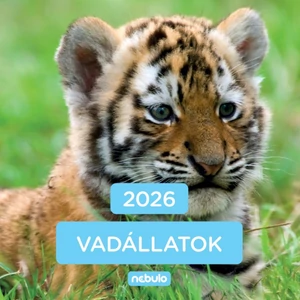 Falinaptár lemez nagy 2026 Vadállatok