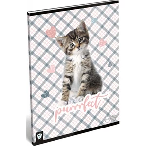 Füzet 81-32 A4 vonalas Lizzy Kis Bagoly Purrrfect Lizzy kollekció