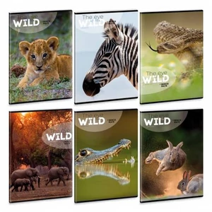 Füzet 87-40 A4 kockás Ars Una Extra kapcsos The Eyes Of The Wild 53121004 A/4-es négyzethálós 40lapos 75g