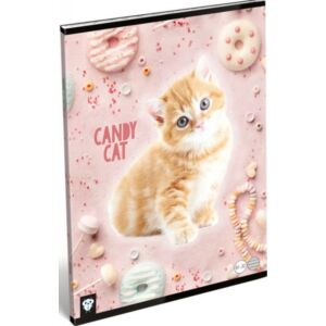 Füzet 81-32 A4 vonalas Kis Bagoly - Candy Cat 20' Lizzy kollekció